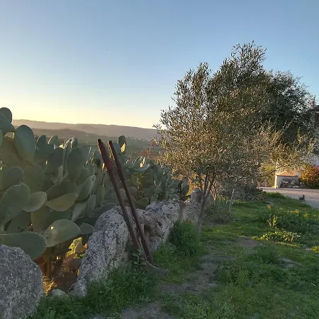 Bed And Coffee Sas Damas