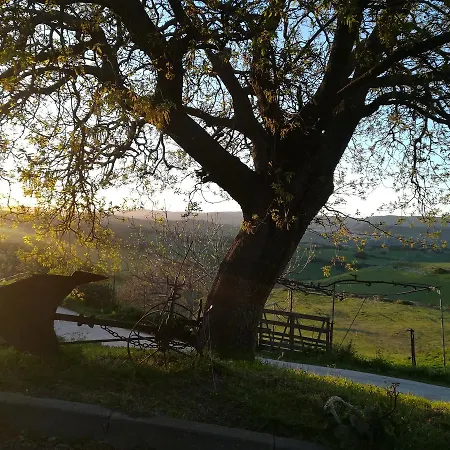 Bed And Coffee Sas Damas